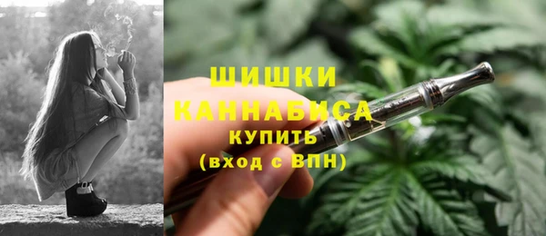 молекула духа Аркадак