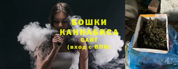 молекула духа Аркадак