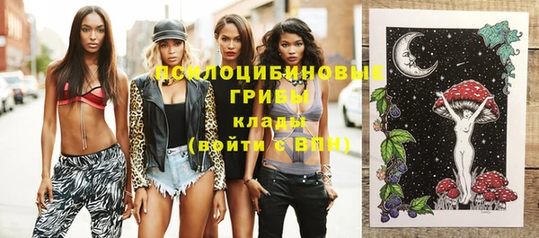 стафф Алексеевка