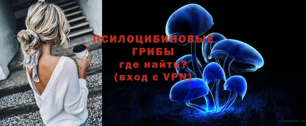 молекула духа Аркадак