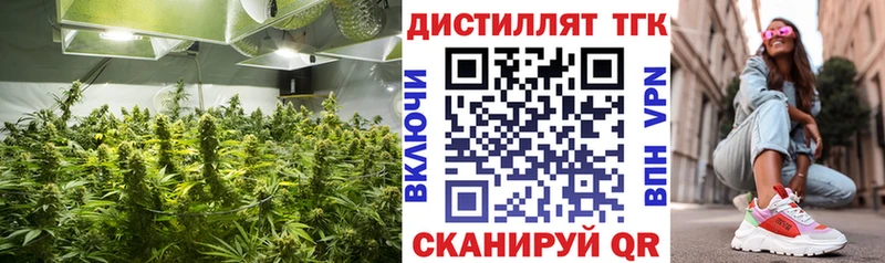 ТГК THC oil  где купить   Ленинск 