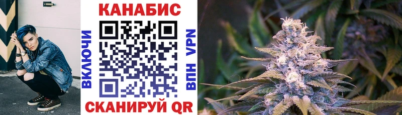 где найти наркотики  Ленинск  Бошки марихуана индика 